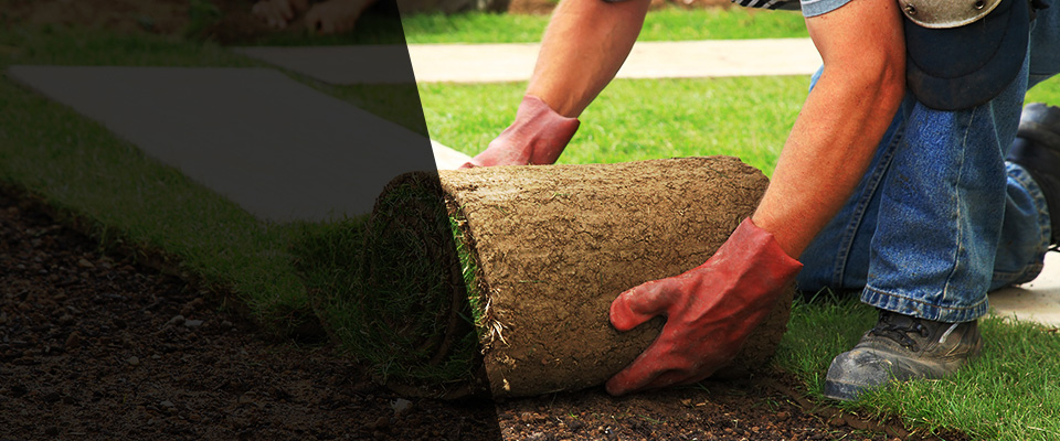 Downingtown Landscapers